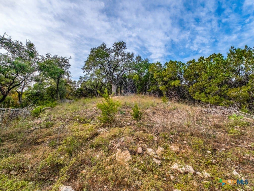 0.36 acres in Hays County - photo 7