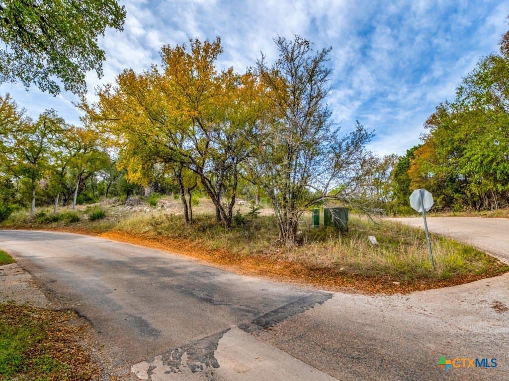 0.36 acres in Hays County - photo 8