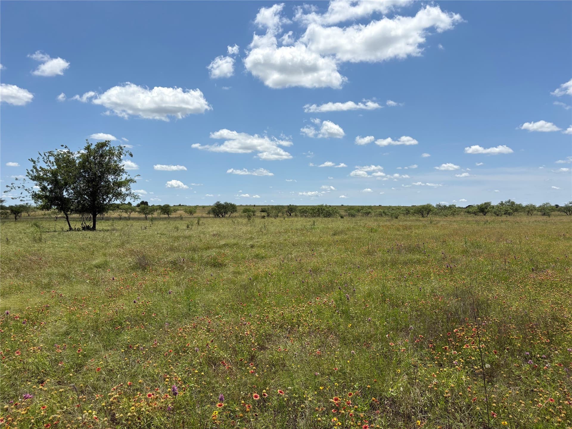 225 acres in Hamilton County - photo 18