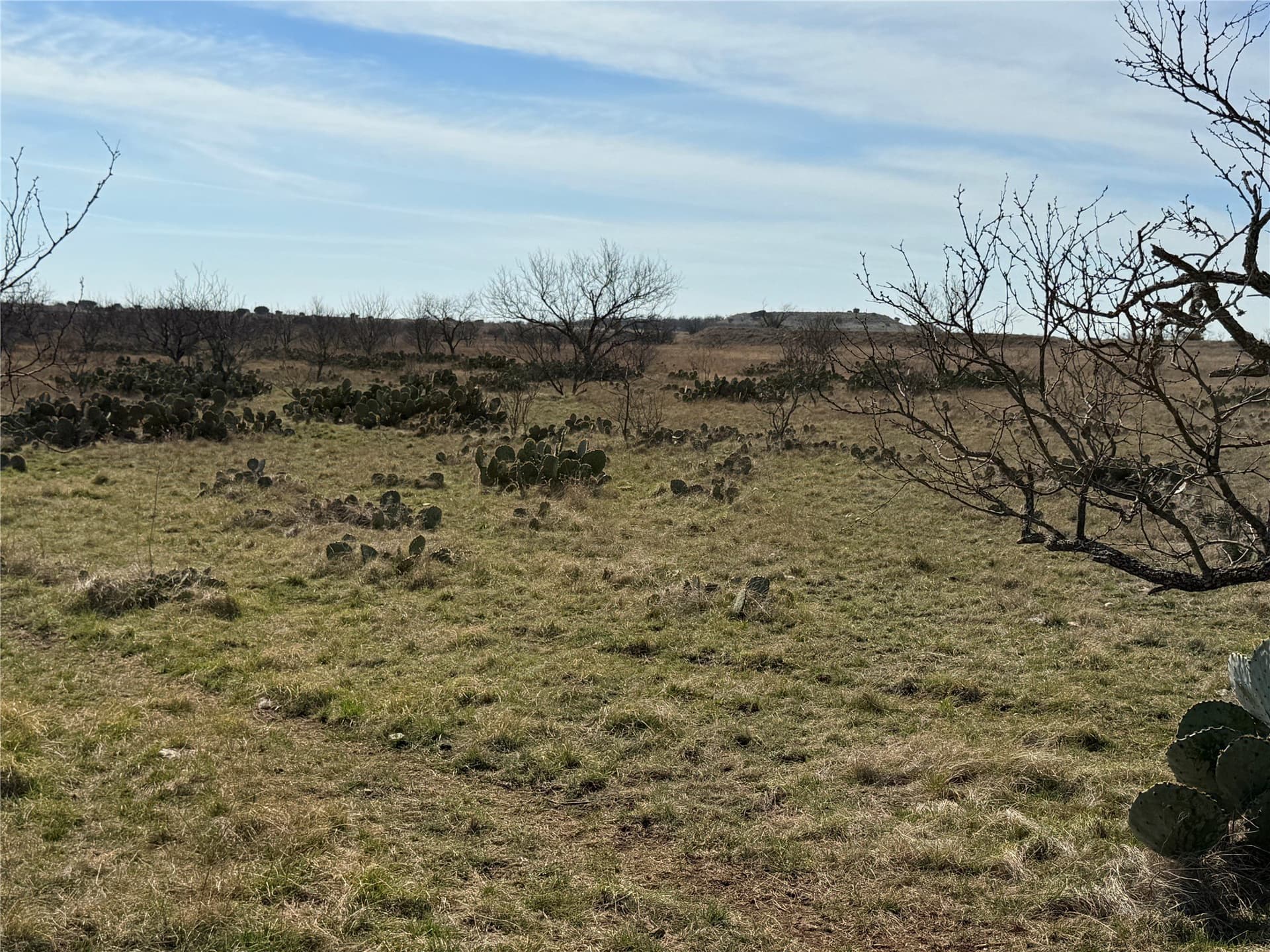 225 acres in Hamilton County - photo 38