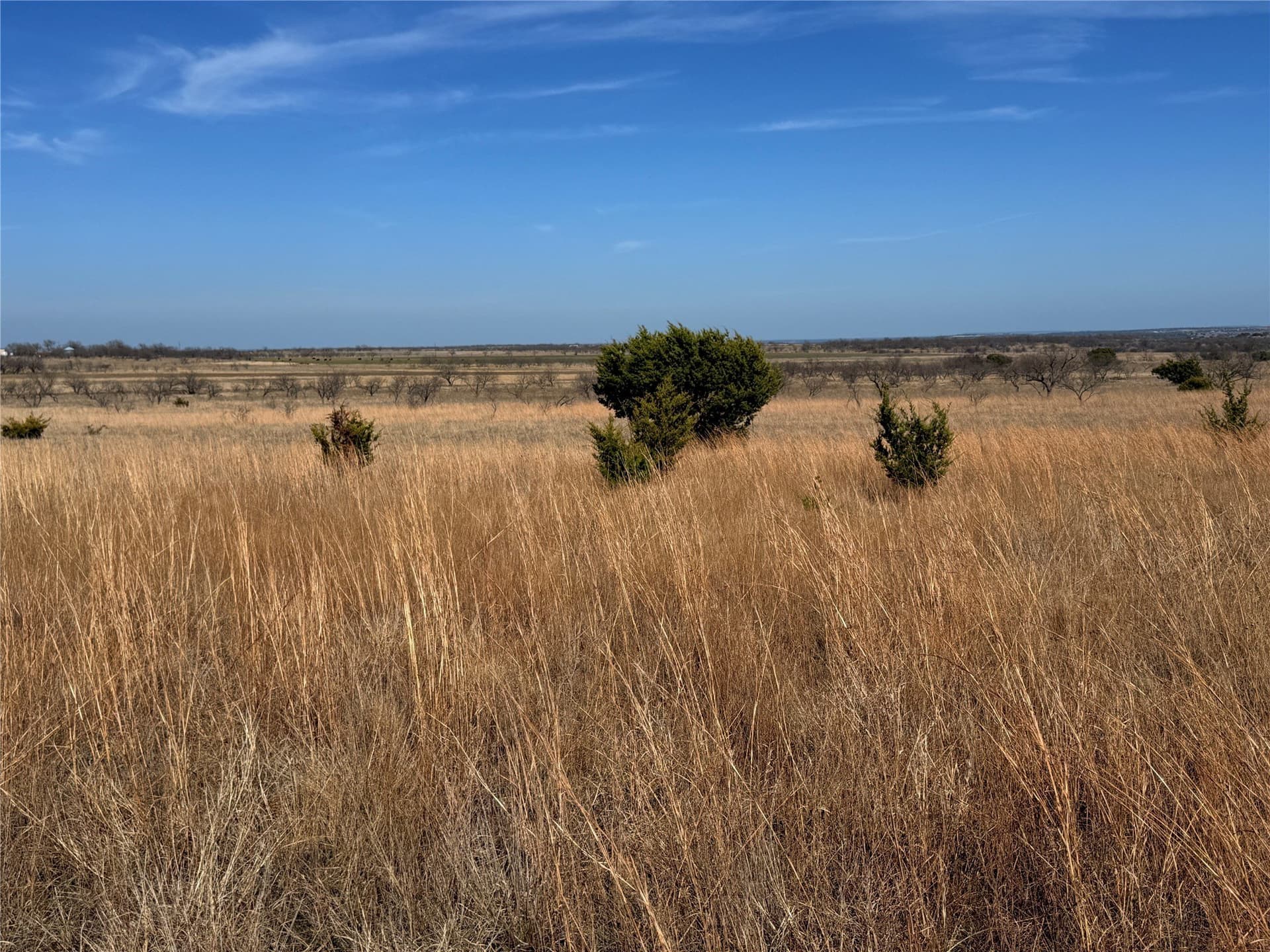 225 acres in Hamilton County - photo 26