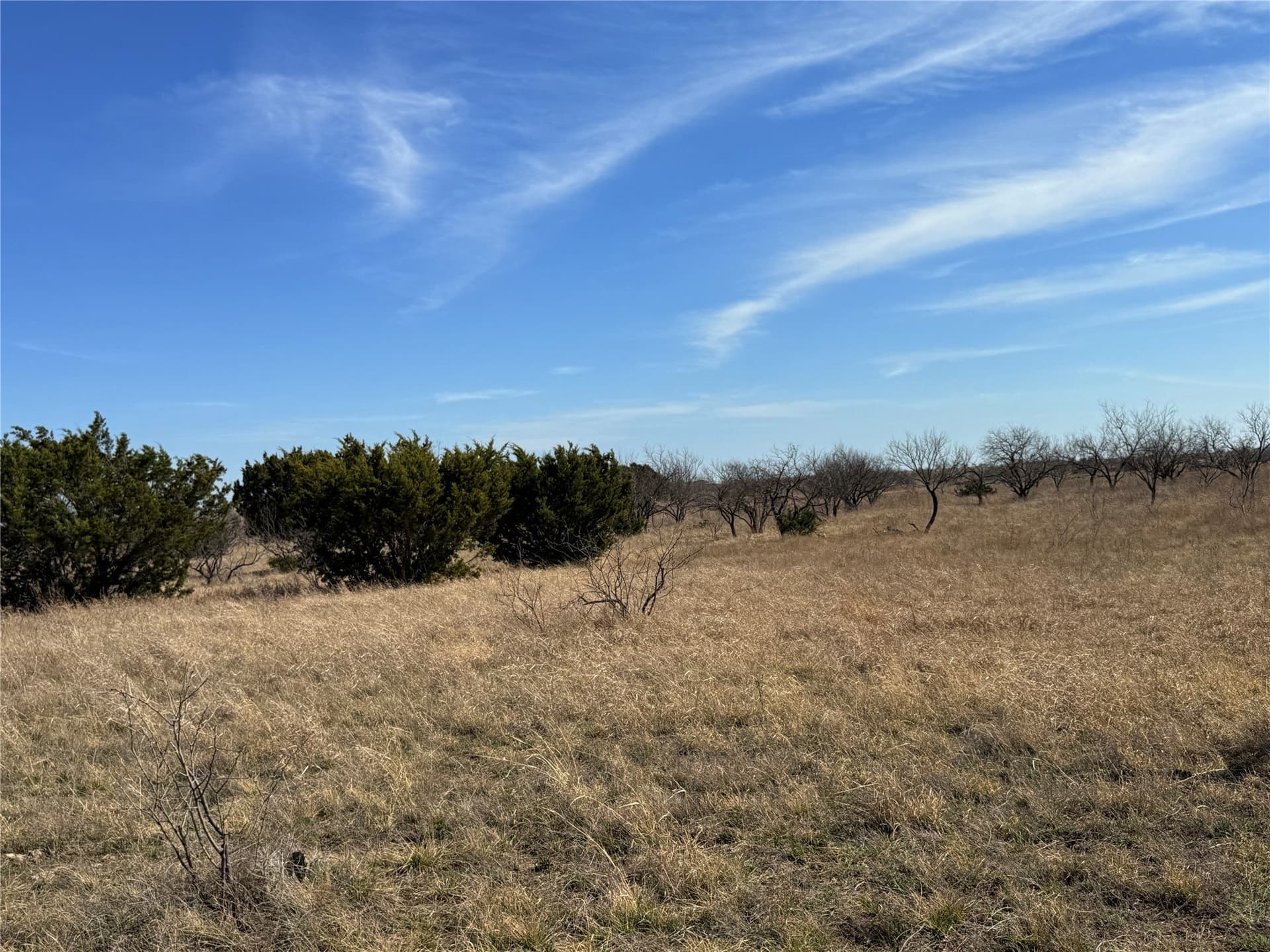 225 acres in Hamilton County - photo 31