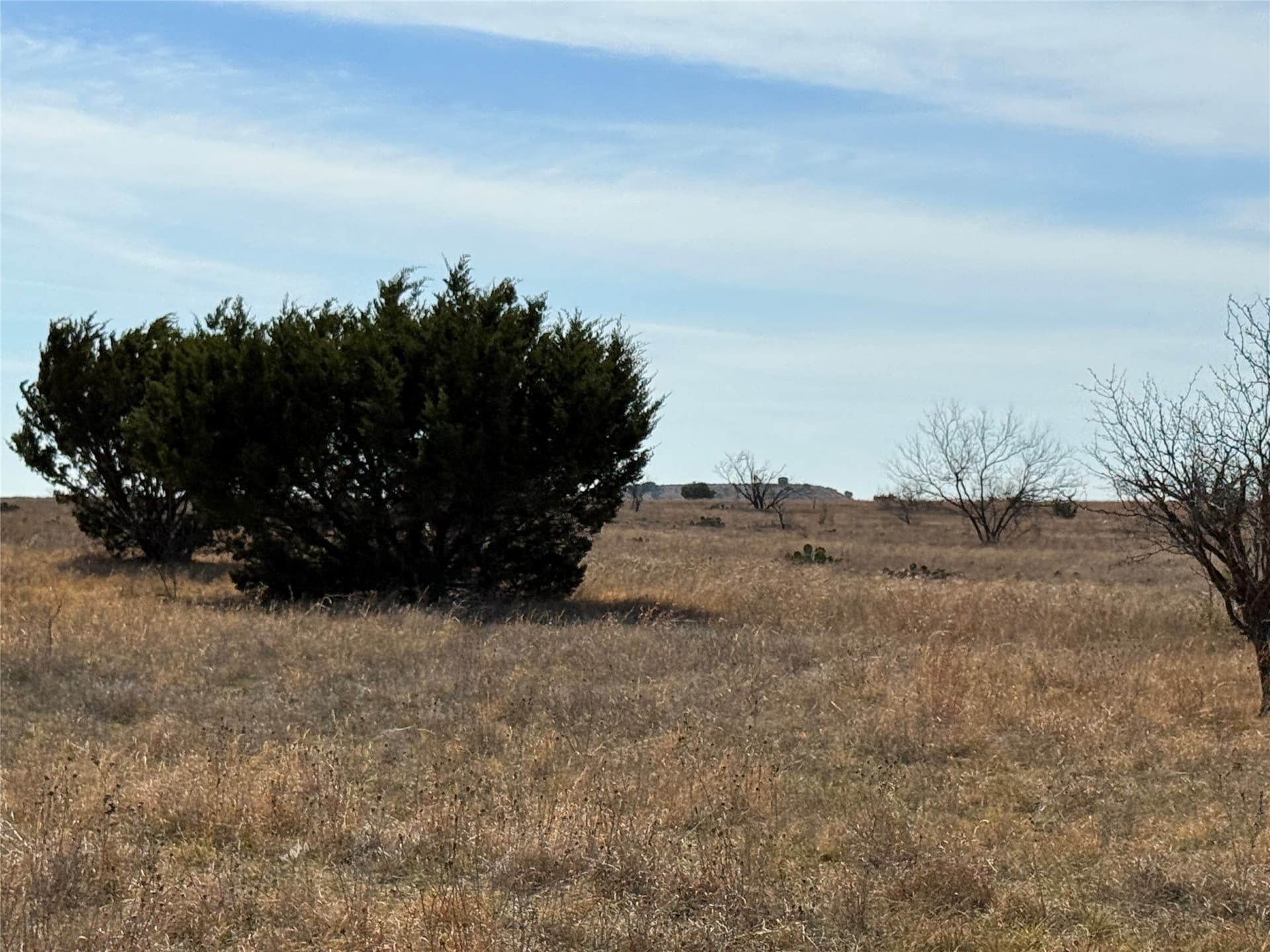 225 acres in Hamilton County - photo 39