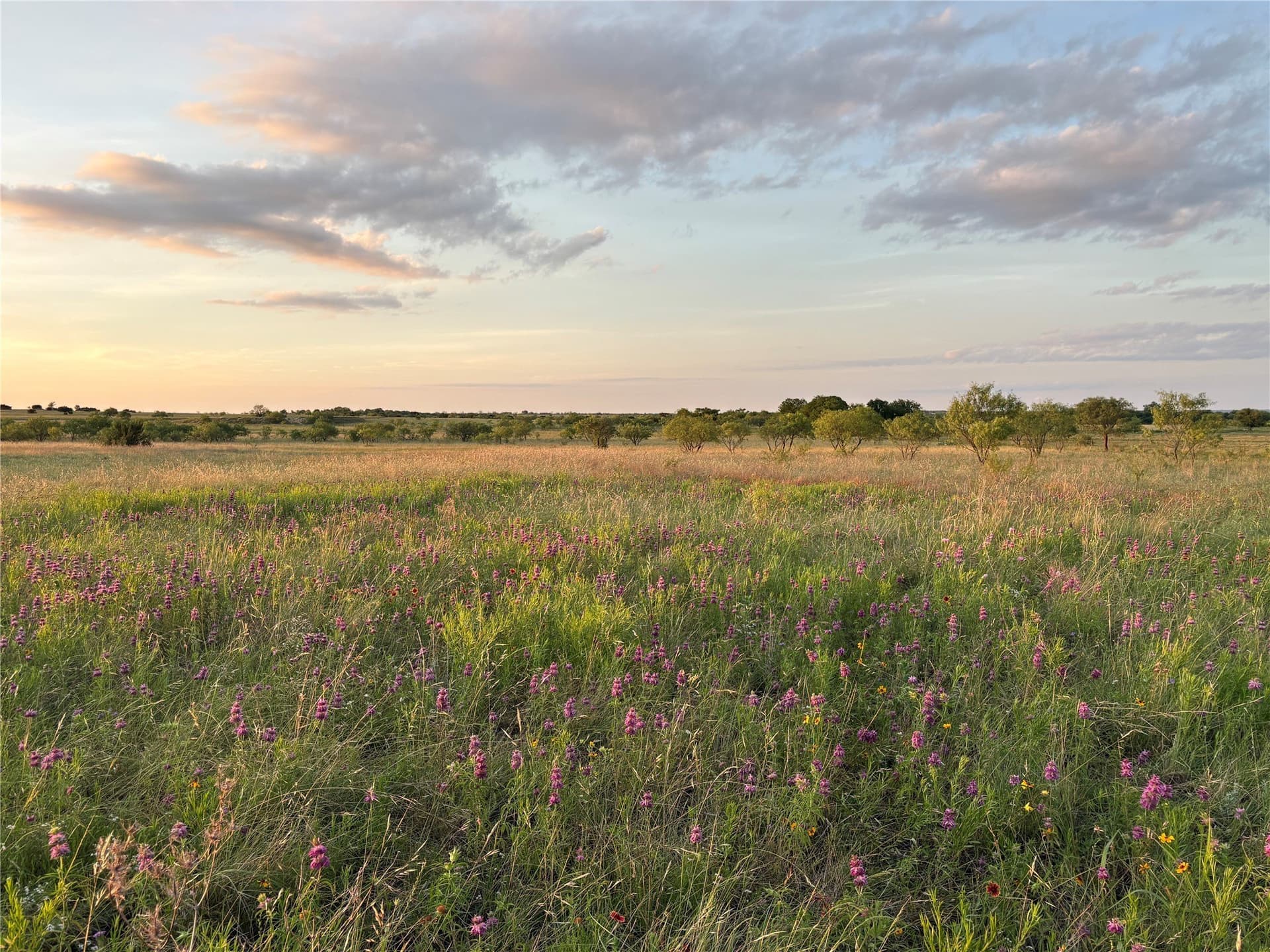 225 acres in Hamilton County - photo 6
