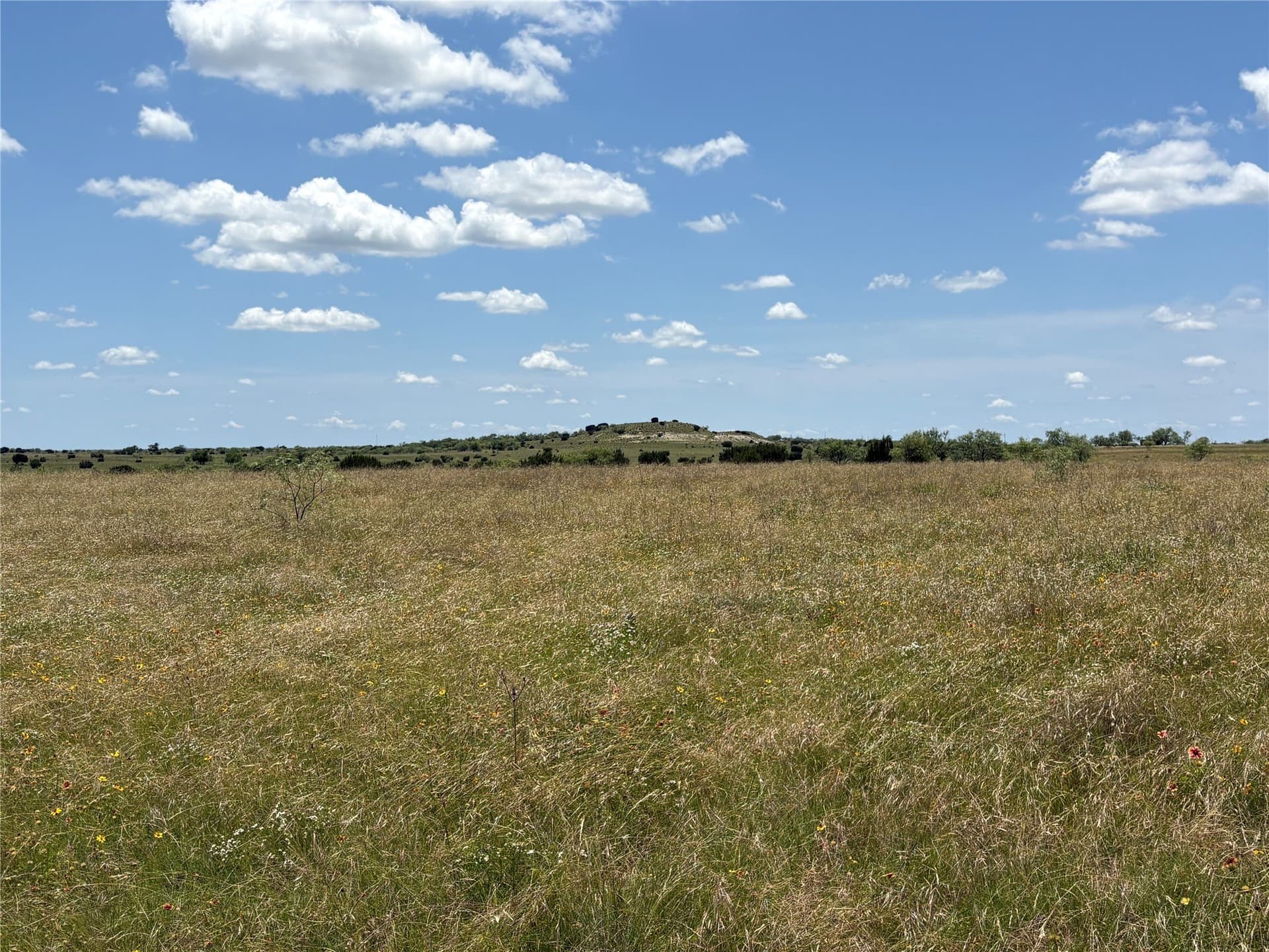 225 acres in Hamilton County - photo 17