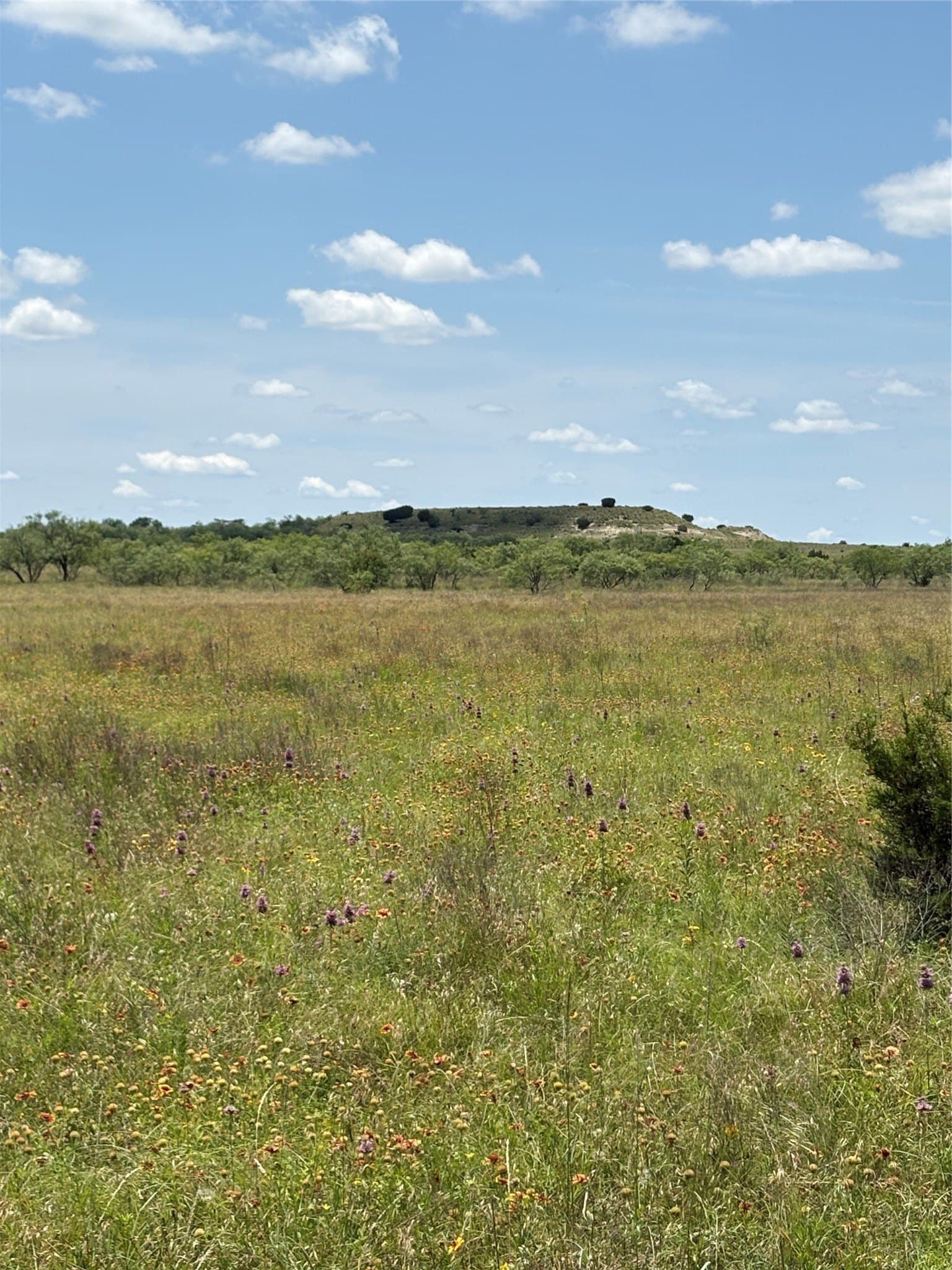 225 acres in Hamilton County - photo 11