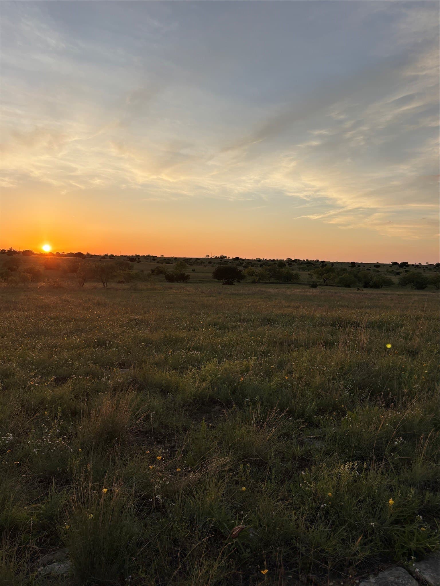 225 acres in Hamilton County - photo 7