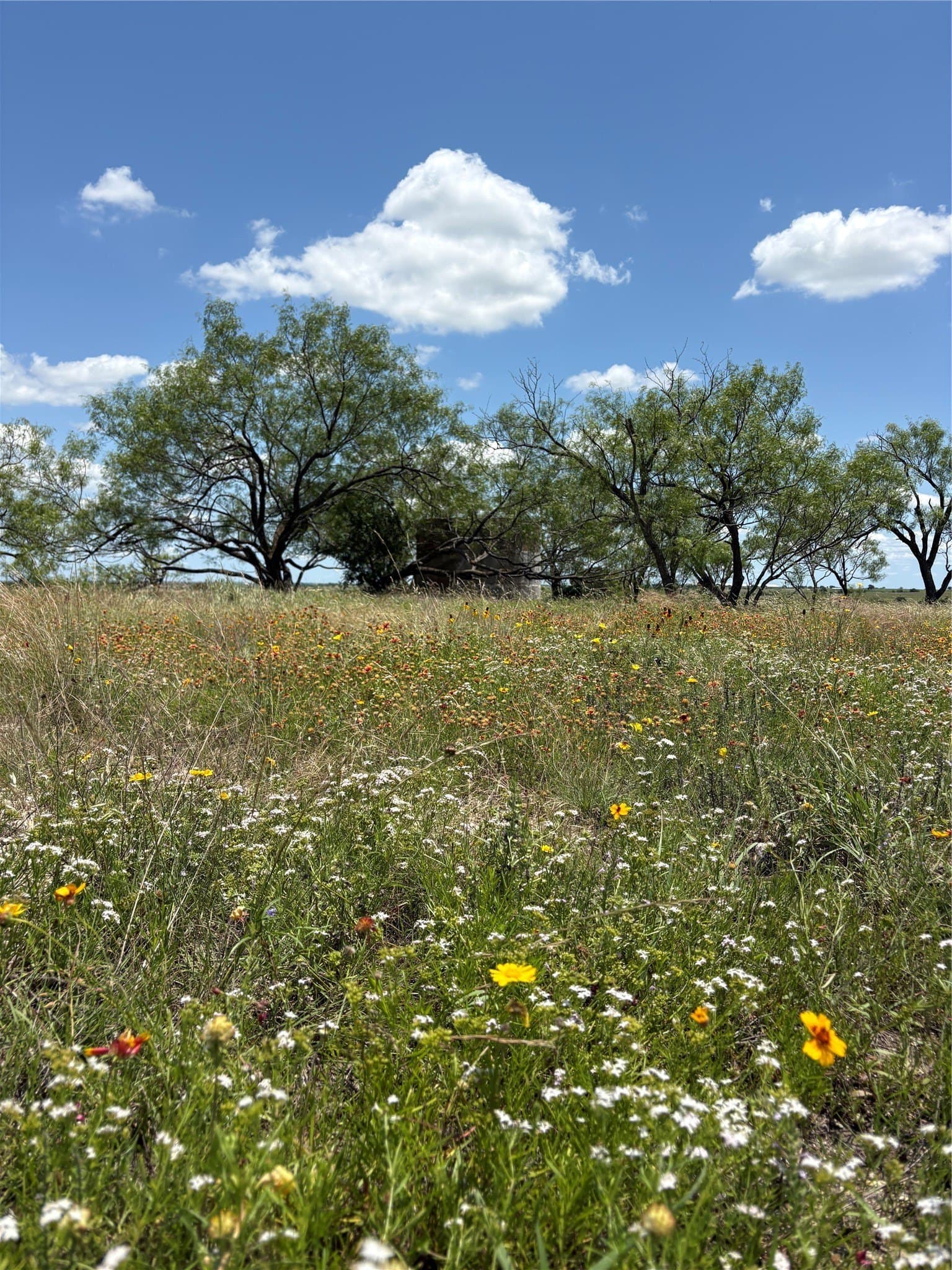 225 acres in Hamilton County - photo 13
