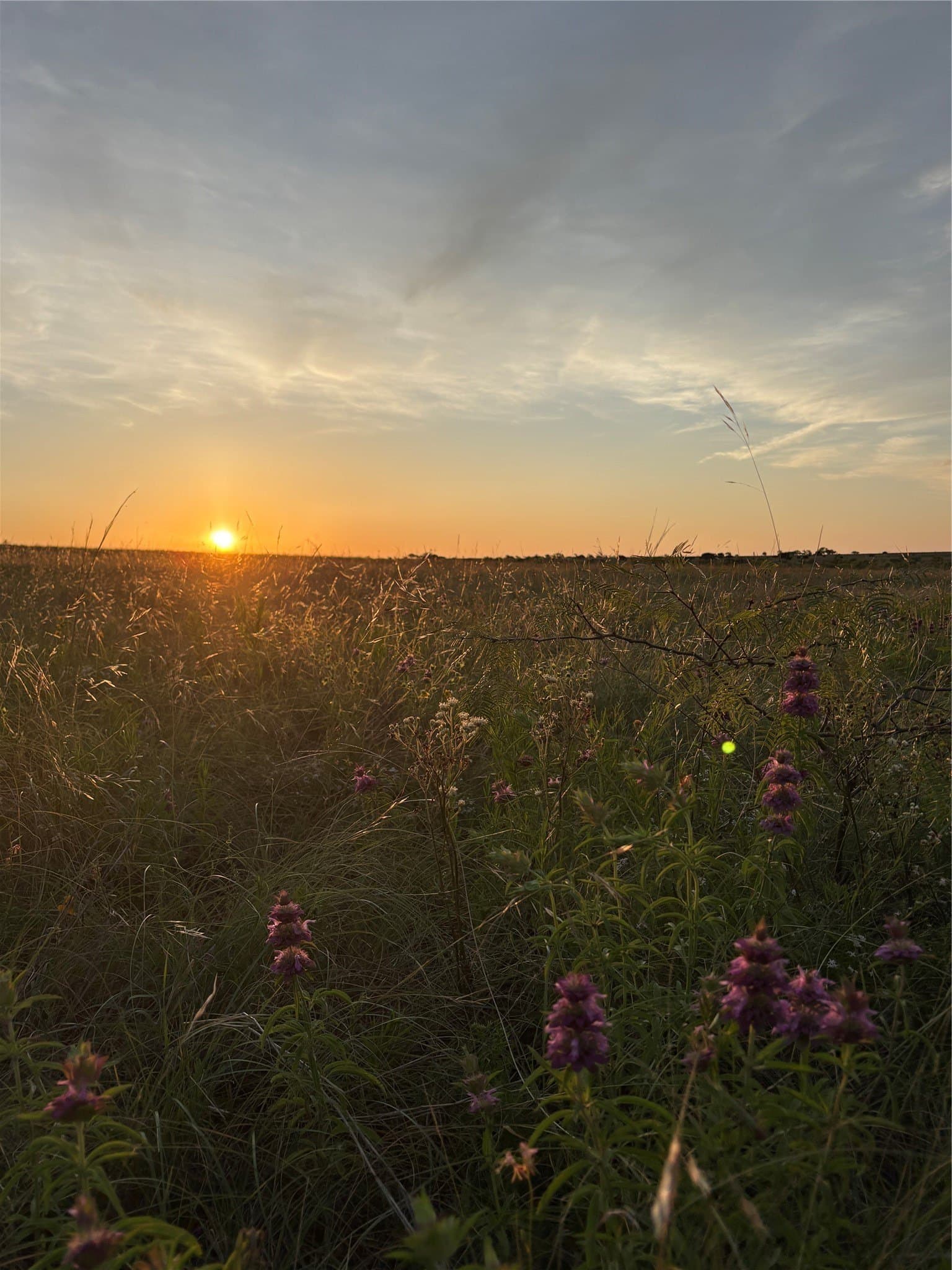 225 acres in Hamilton County - photo 19