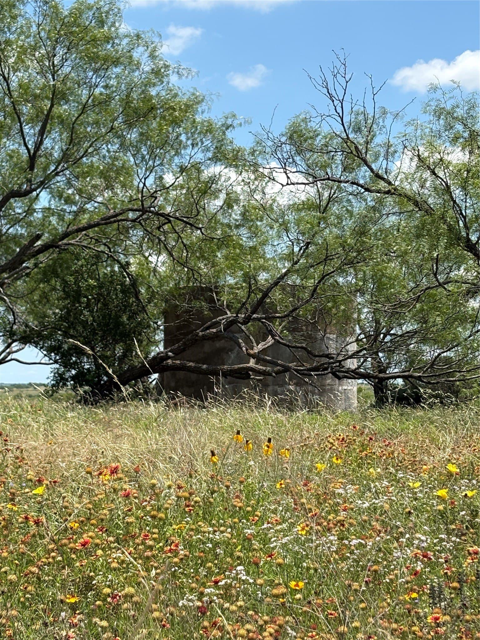225 acres in Hamilton County - photo 5