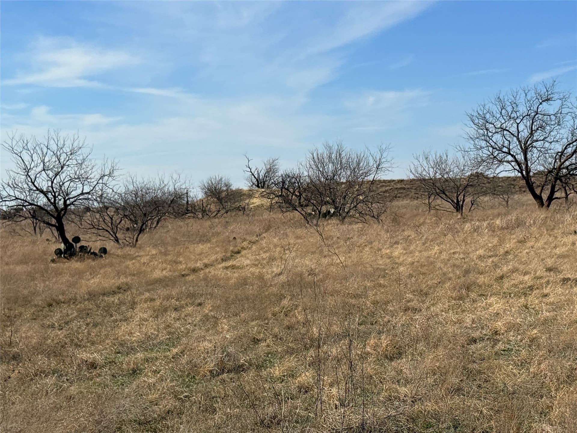 225 acres in Hamilton County - photo 36
