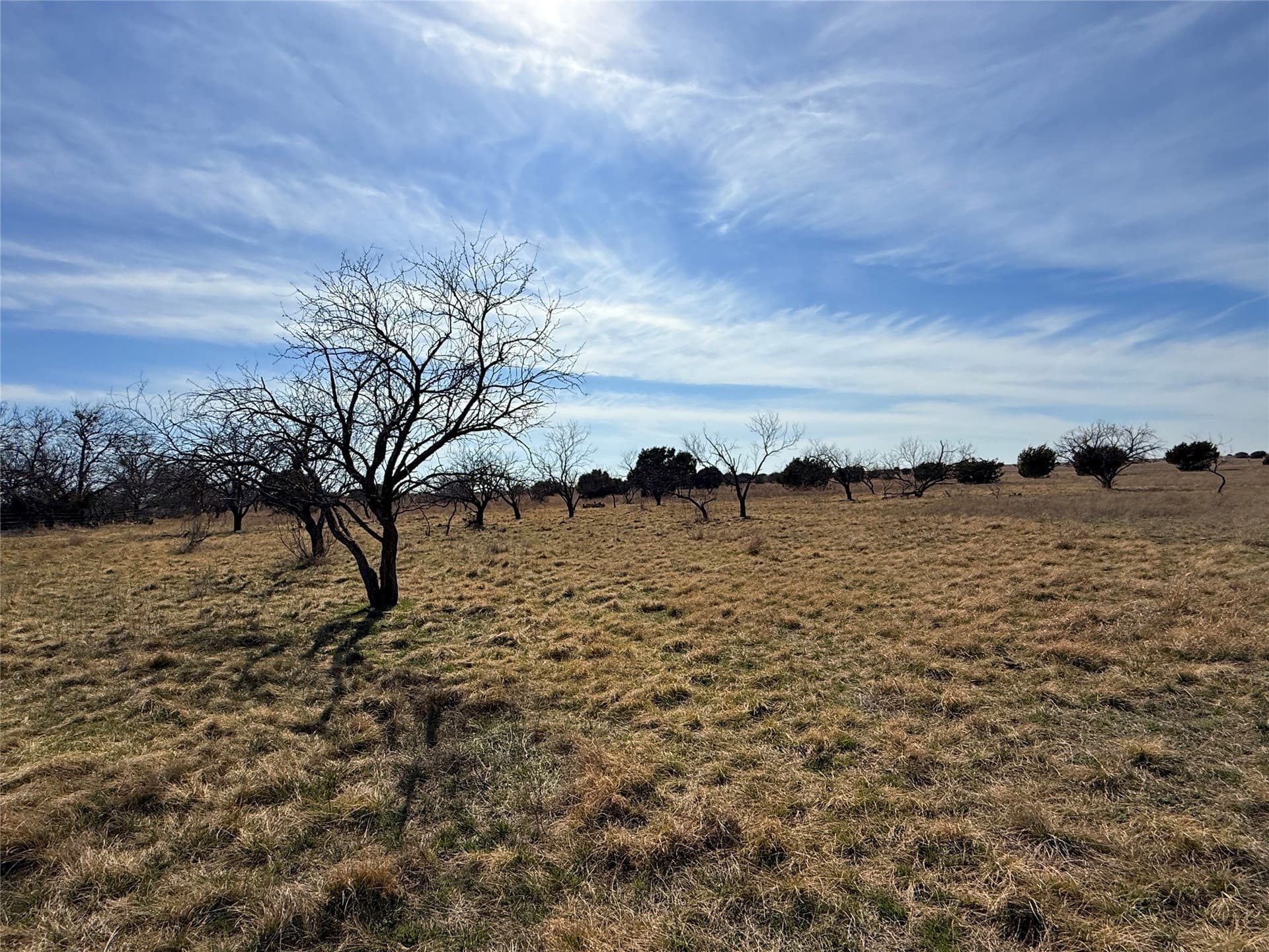 225 acres in Hamilton County - photo 33