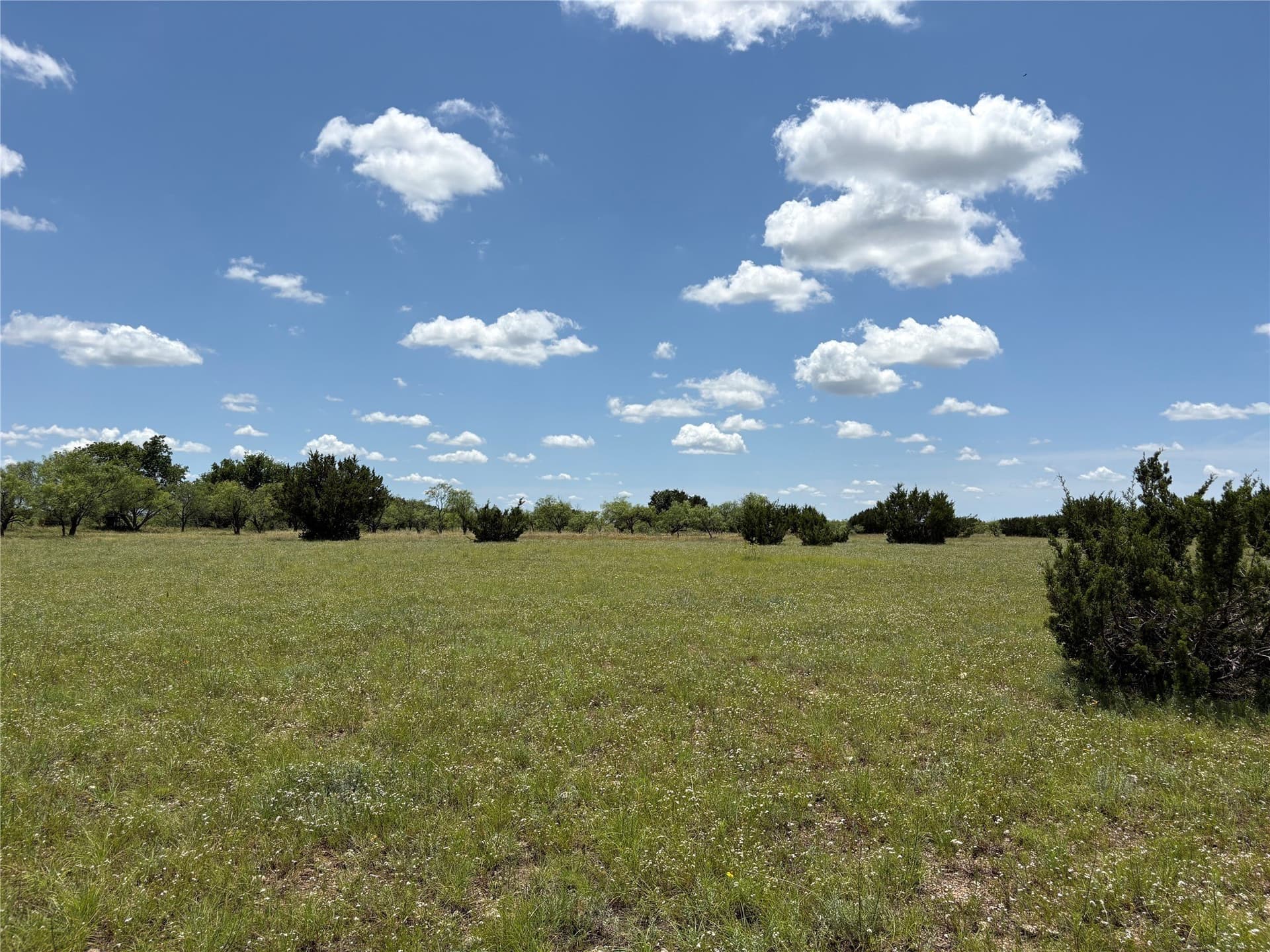 225 acres in Hamilton County - photo 15