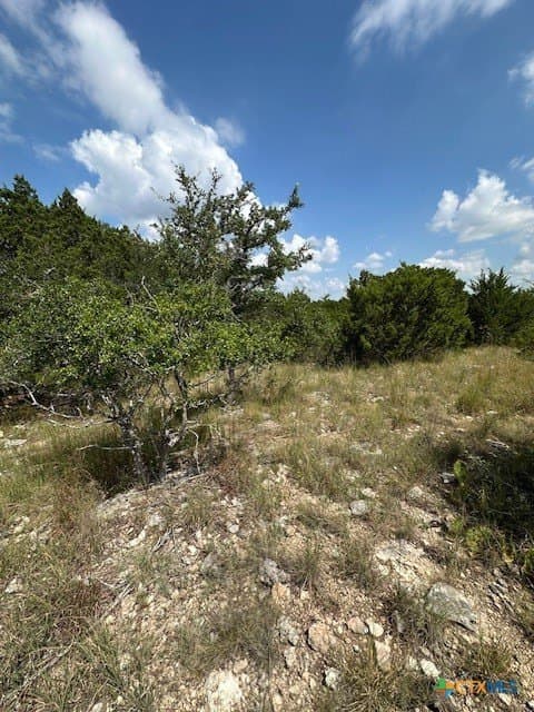 1.28 acres in Comal County gallery image 4