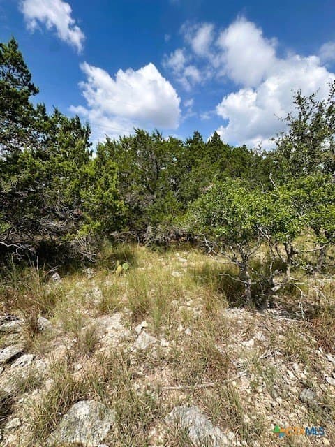 1.28 acres in Comal County gallery image 3