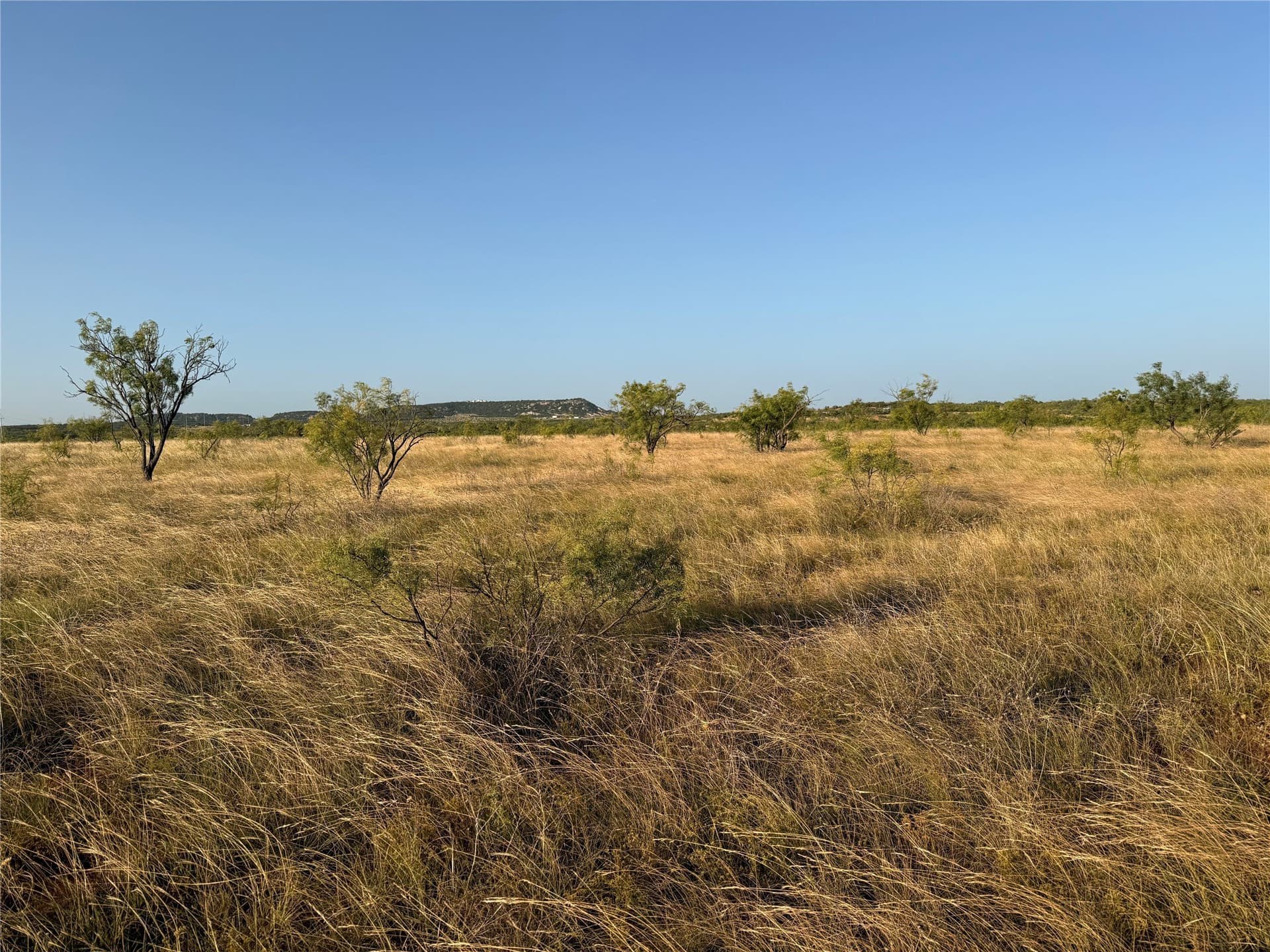 53 acres in Taylor County - photo 3