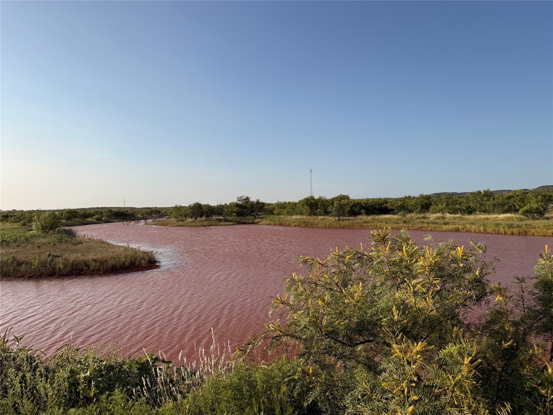 53 acres in Taylor County - photo 7
