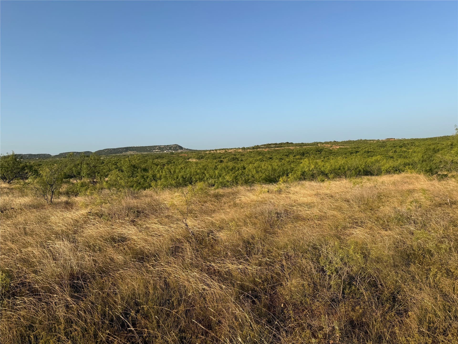 53 acres in Taylor County - photo 6