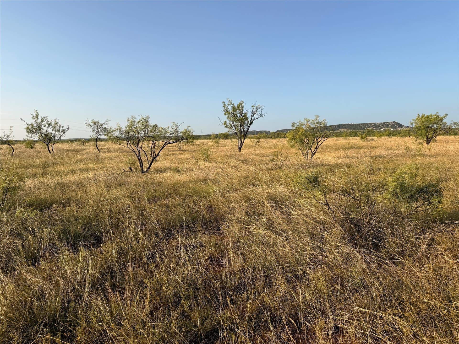 53 acres in Taylor County - photo 5