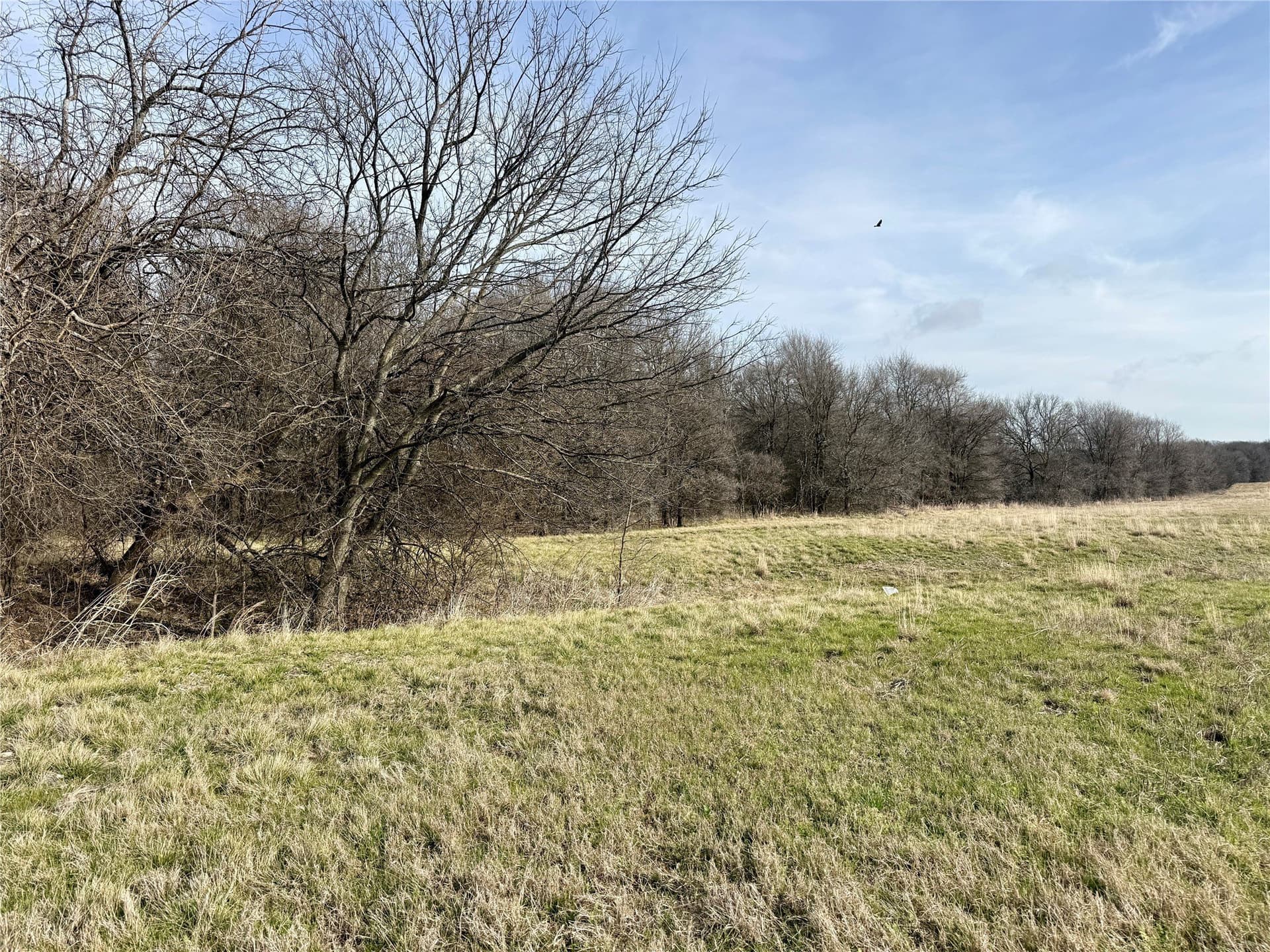 3.82 acres in Hill County gallery image 4