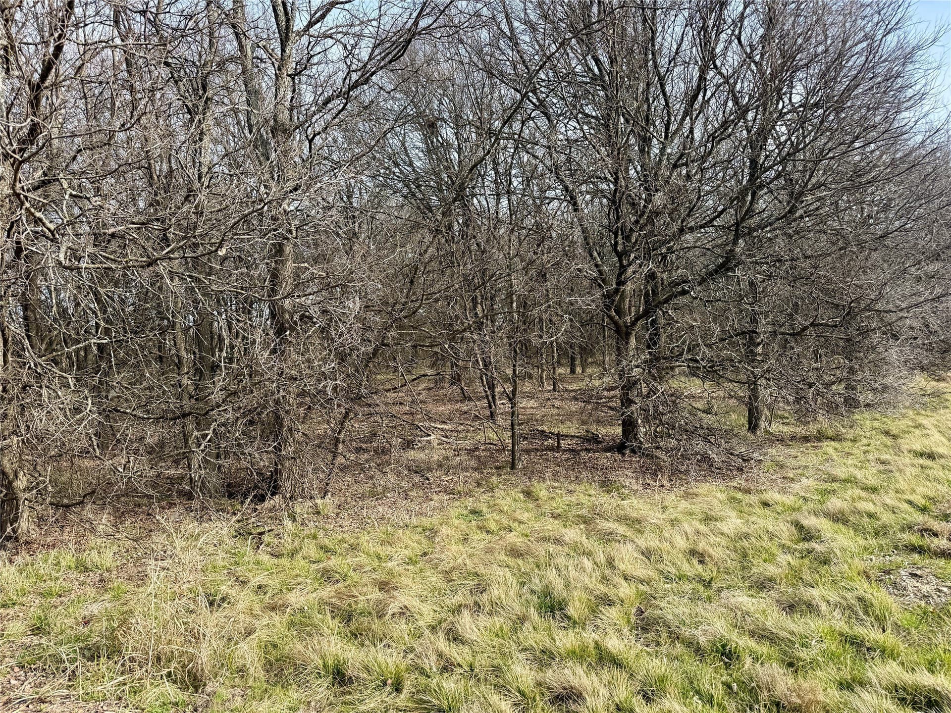 3.82 acres in Hill County - photo 7