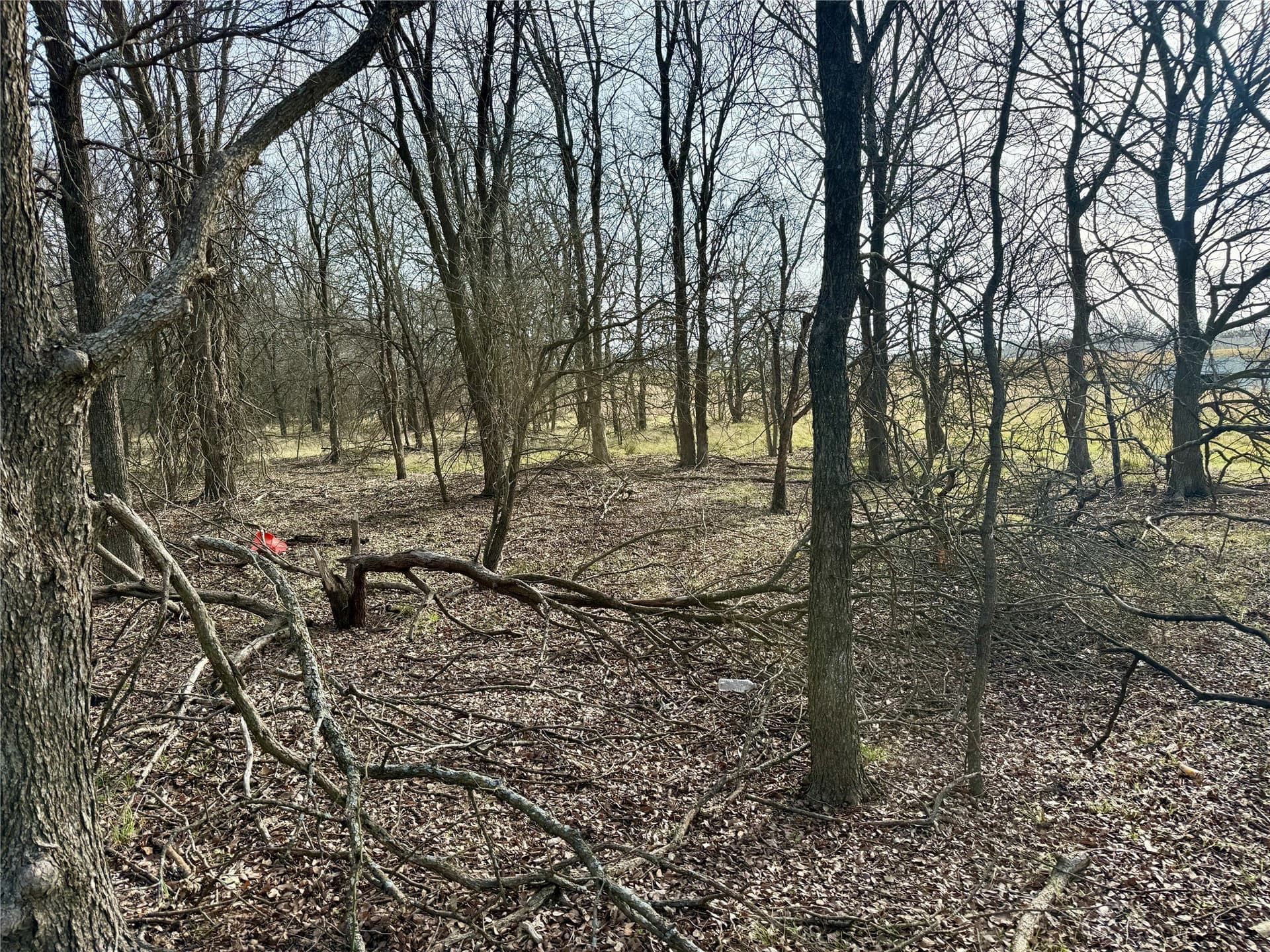 3.82 acres in Hill County - photo 9