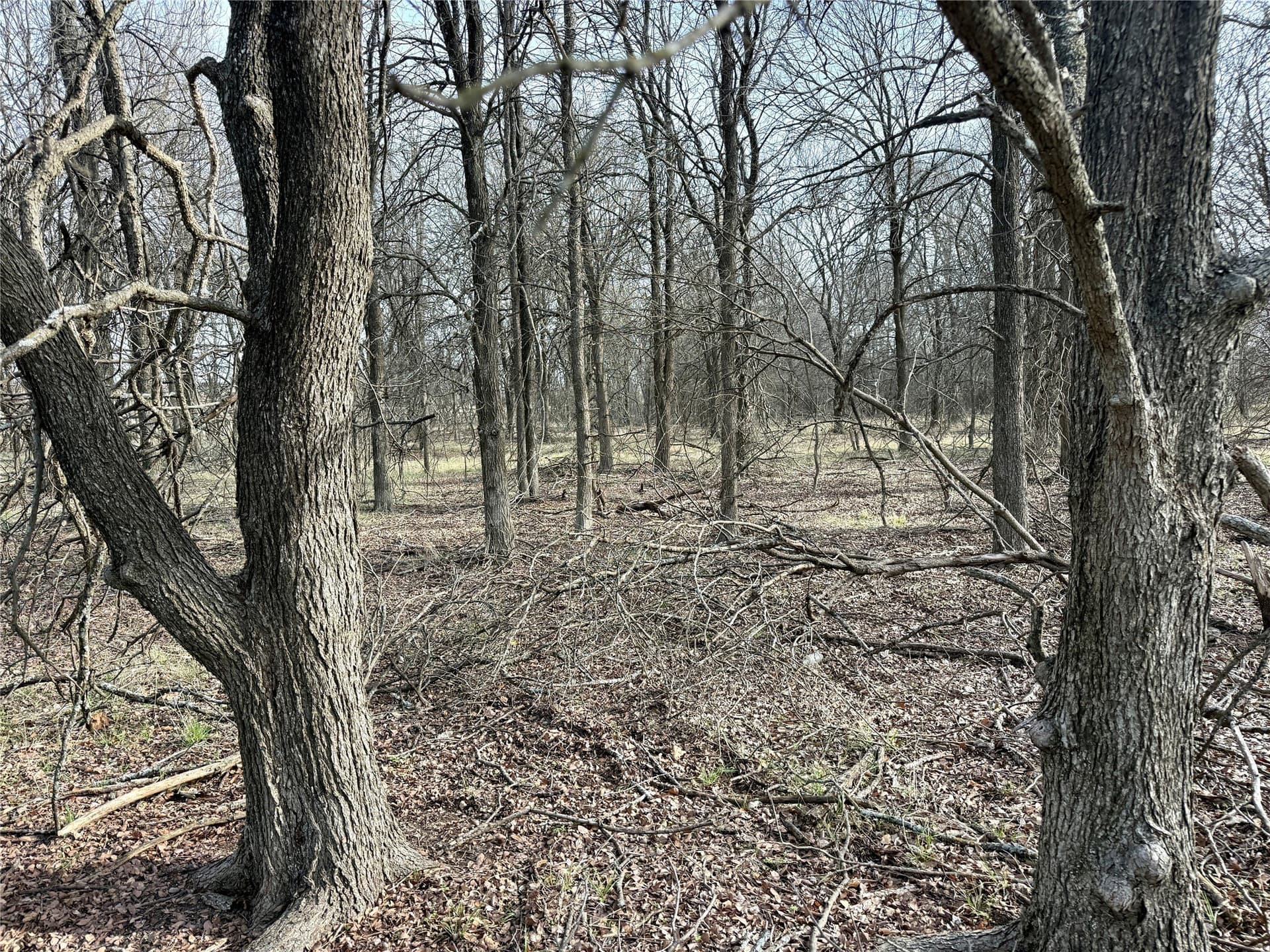 3.82 acres in Hill County - photo 8