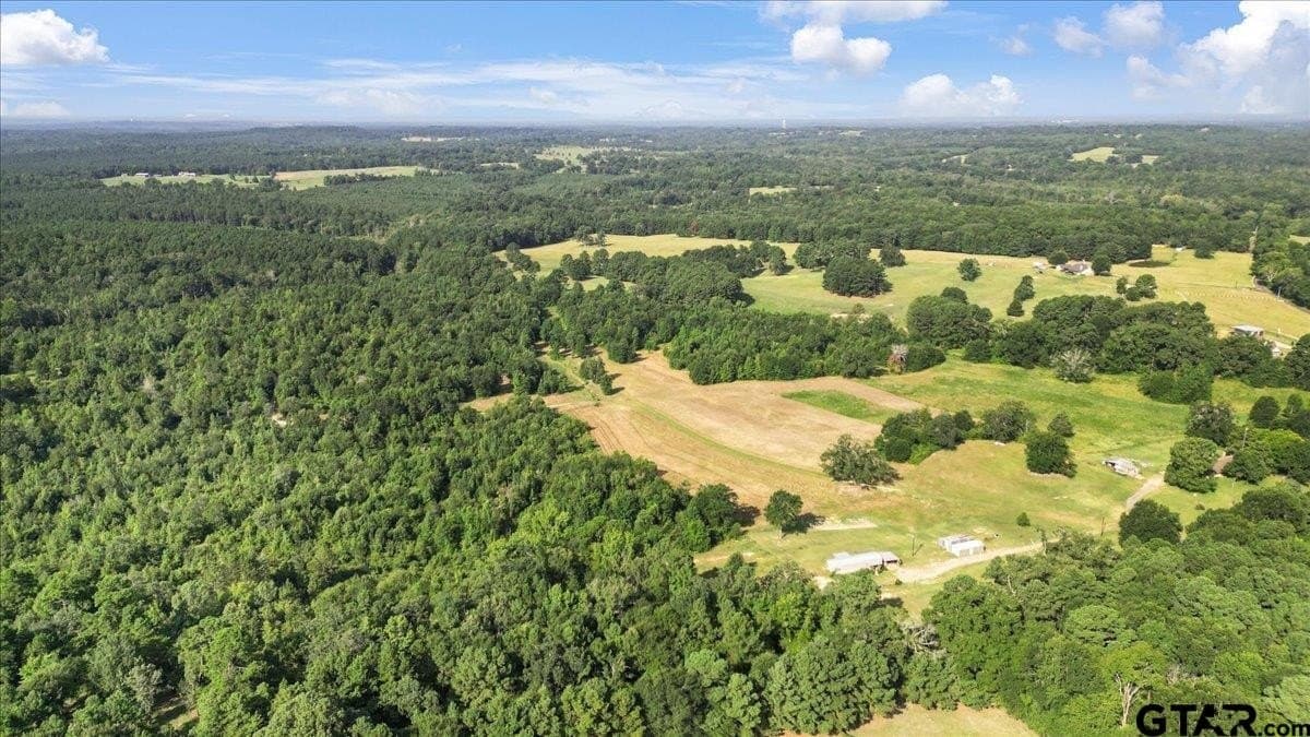 32 acres in Upshur County gallery image 4