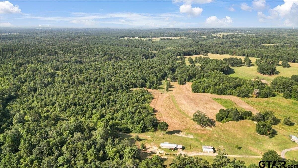 32 acres in Upshur County gallery image 3