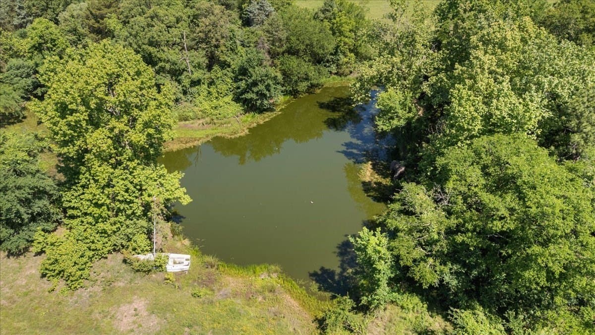 83 acres in Hopkins County - photo 12