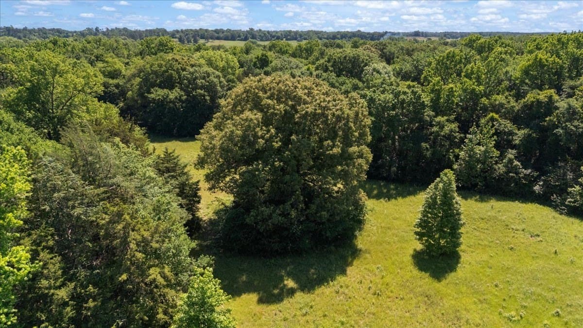 83 acres in Hopkins County - photo 10