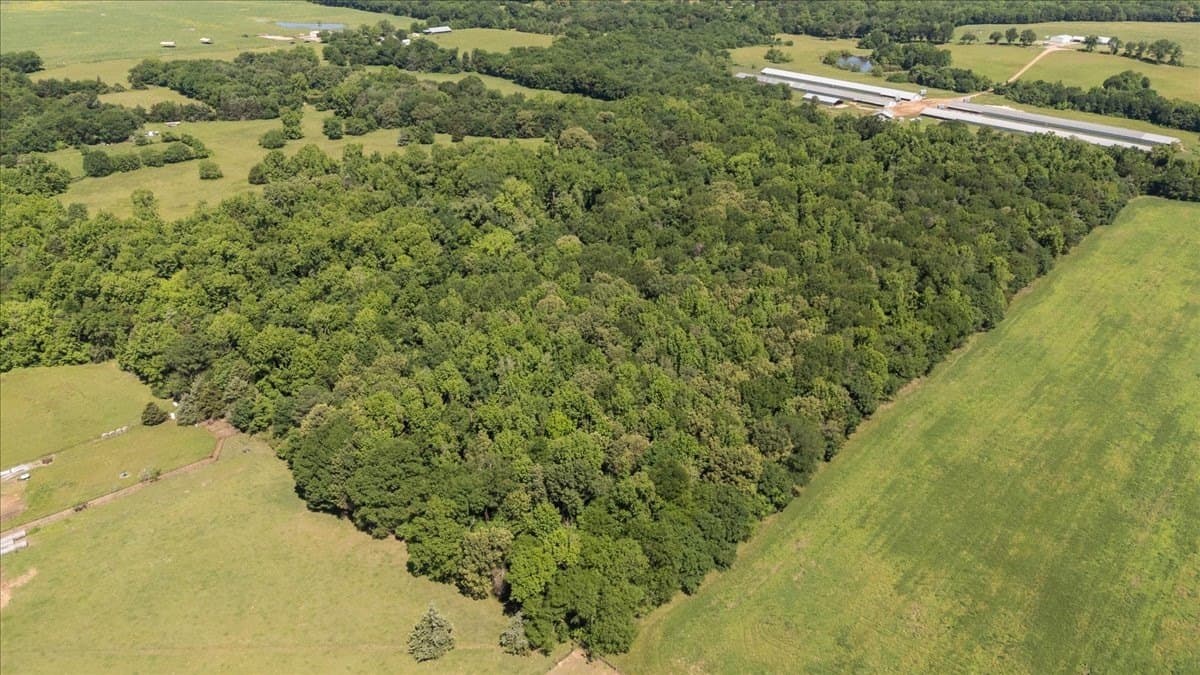 83 acres in Hopkins County - photo 7