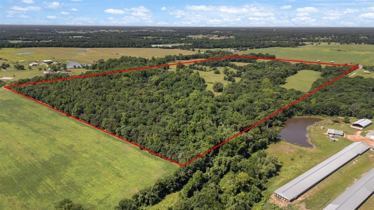 83 acres in Hopkins County gallery image 3