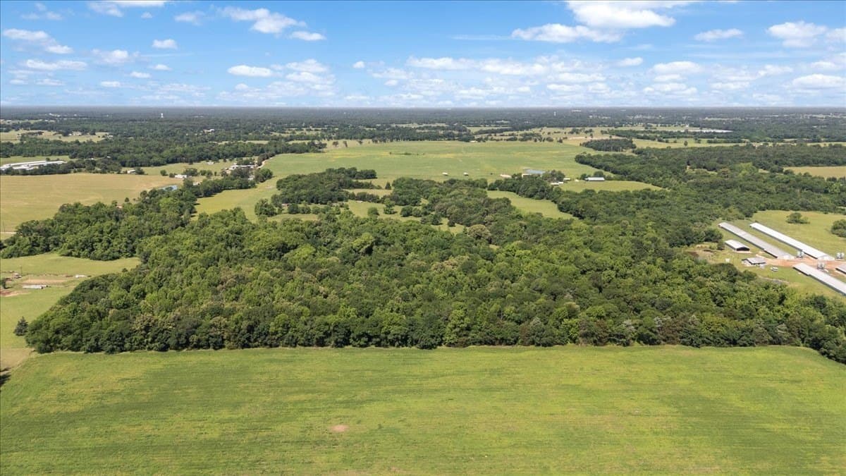 83 acres in Hopkins County featured view