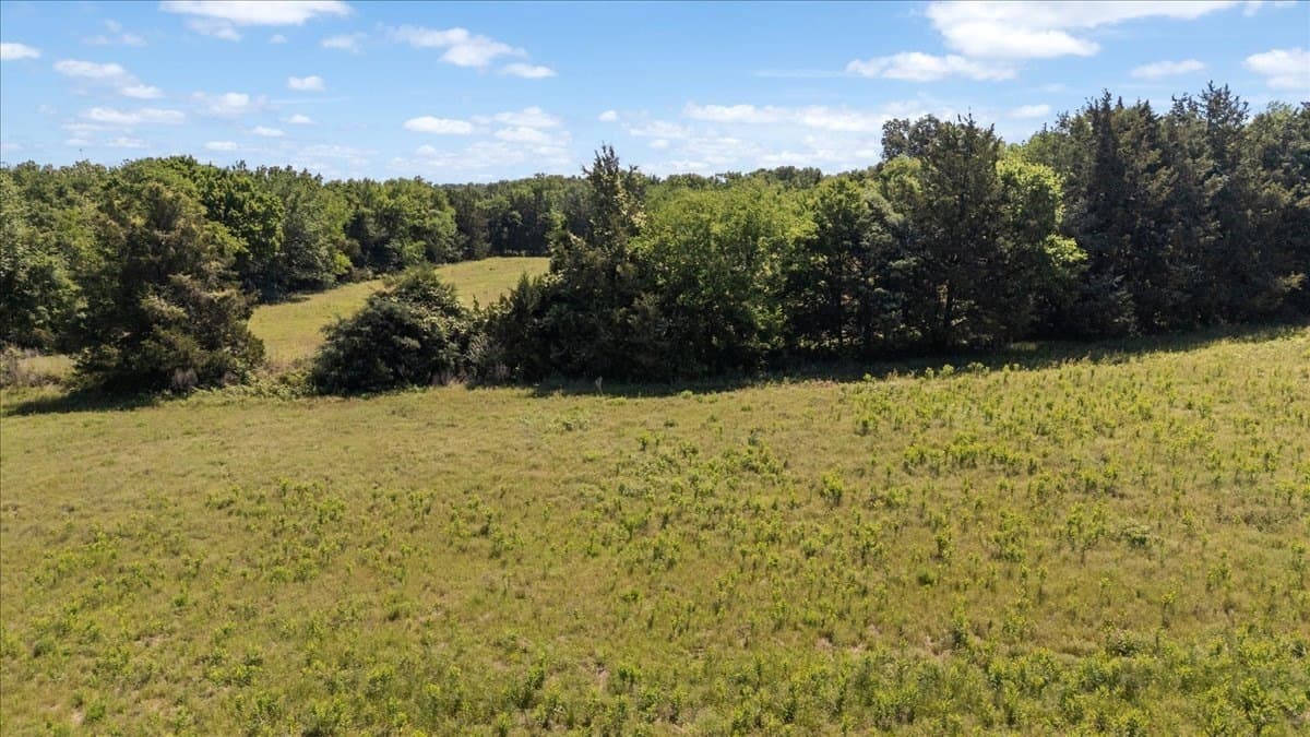 83 acres in Hopkins County - photo 18