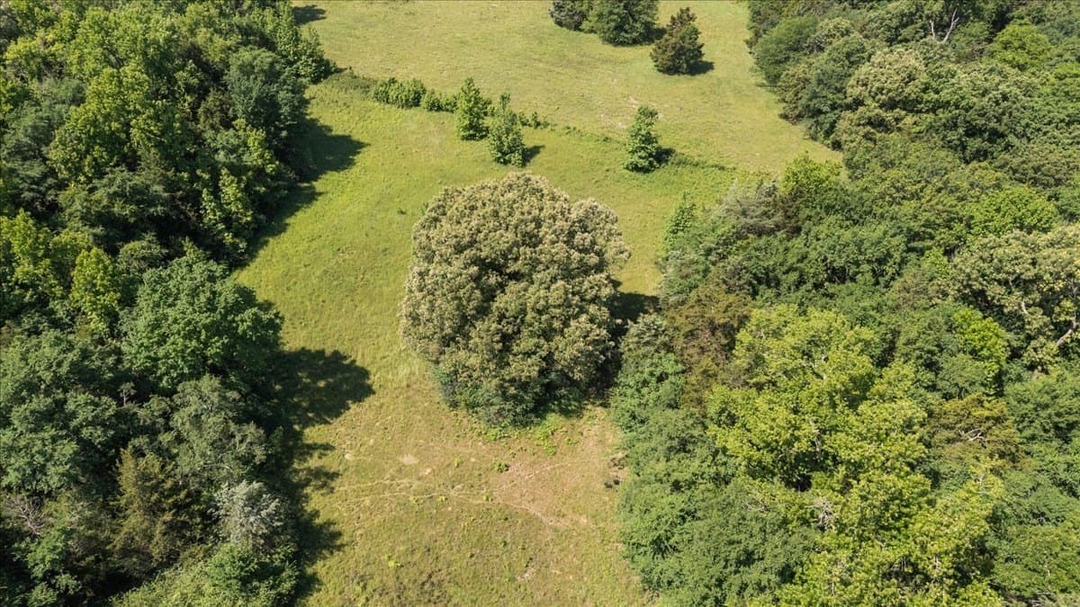 83 acres in Hopkins County - photo 9