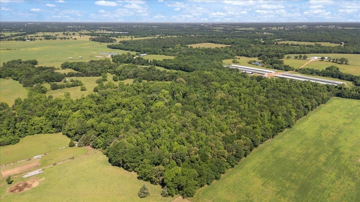 83 acres in Hopkins County - photo 6
