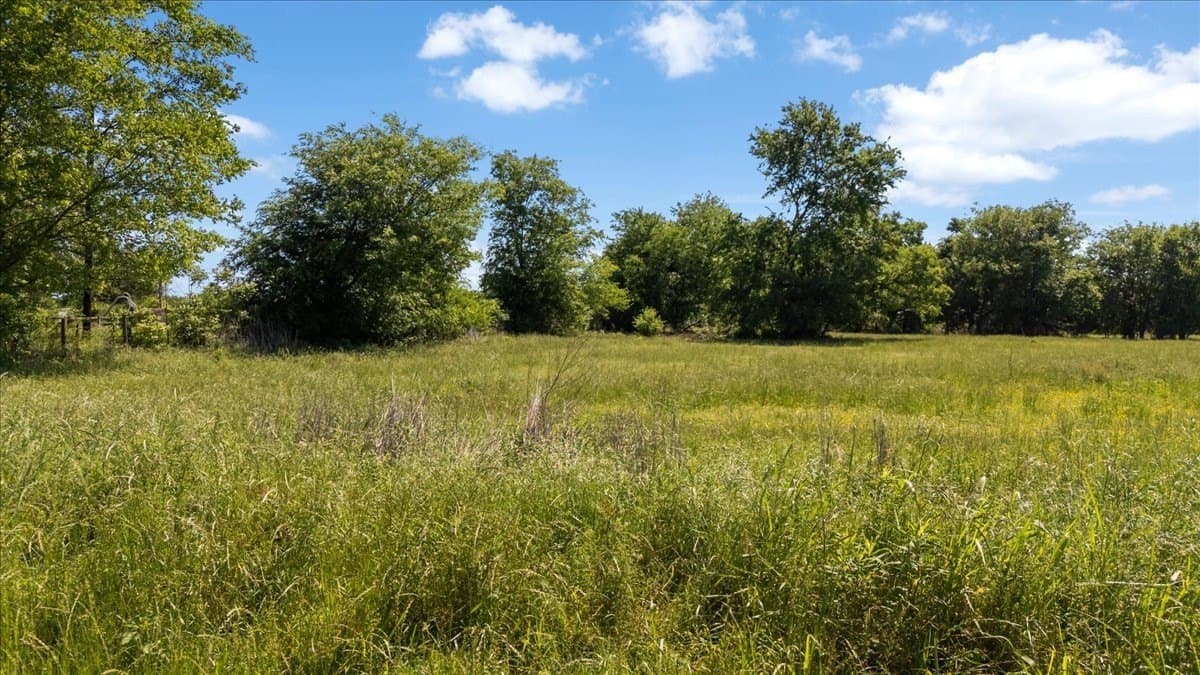 83 acres in Hopkins County - photo 21