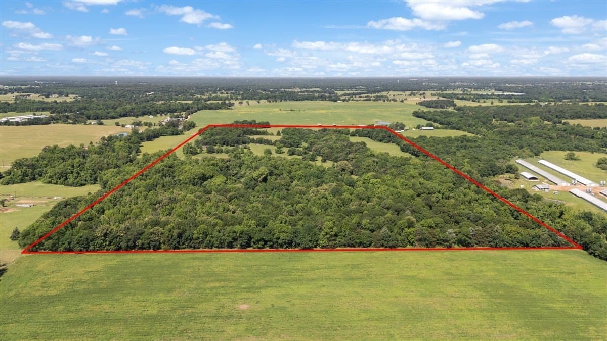 83 acres in Hopkins County gallery image 2
