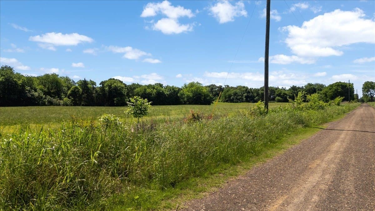 83 acres in Hopkins County - photo 20