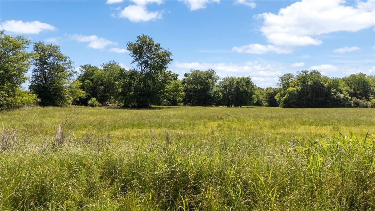 83 acres in Hopkins County - photo 19