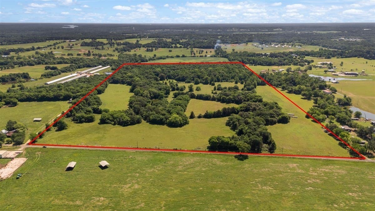 83 acres in Hopkins County gallery image 4