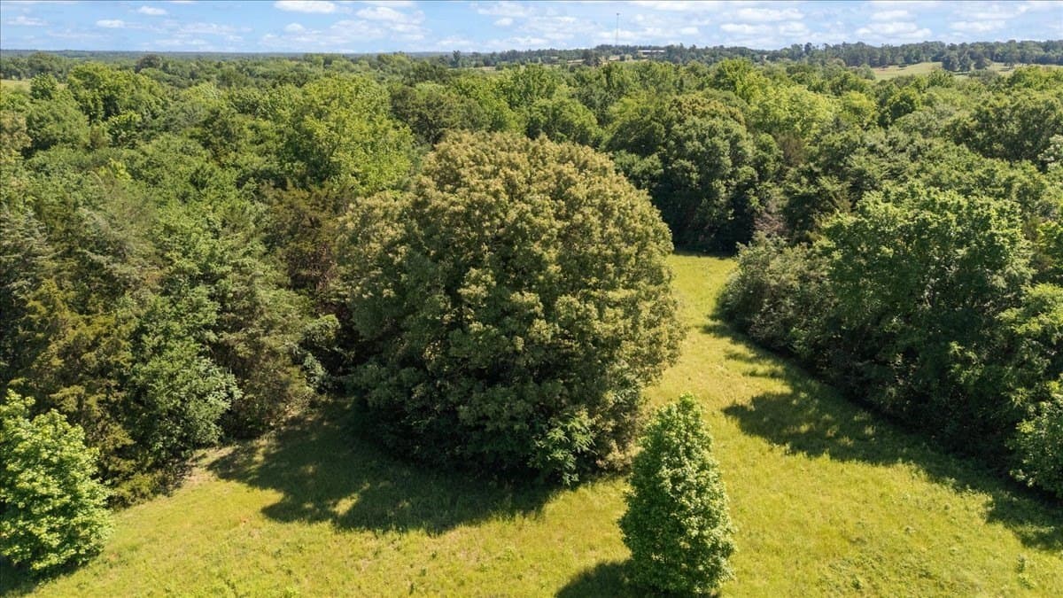 83 acres in Hopkins County - photo 11