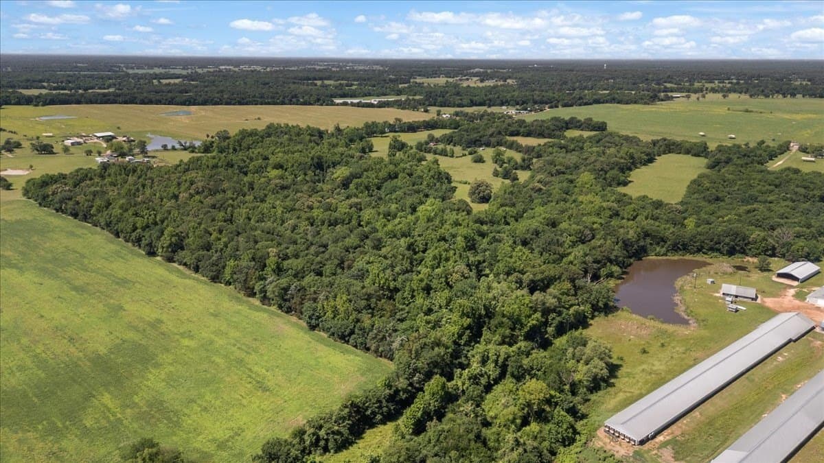 83 acres in Hopkins County - photo 8