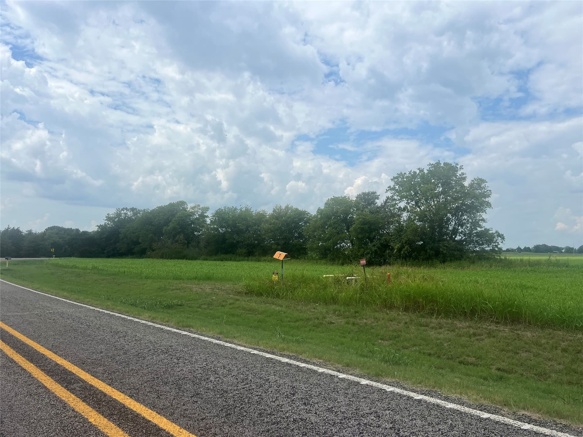 20 acres in Fannin County - photo 7