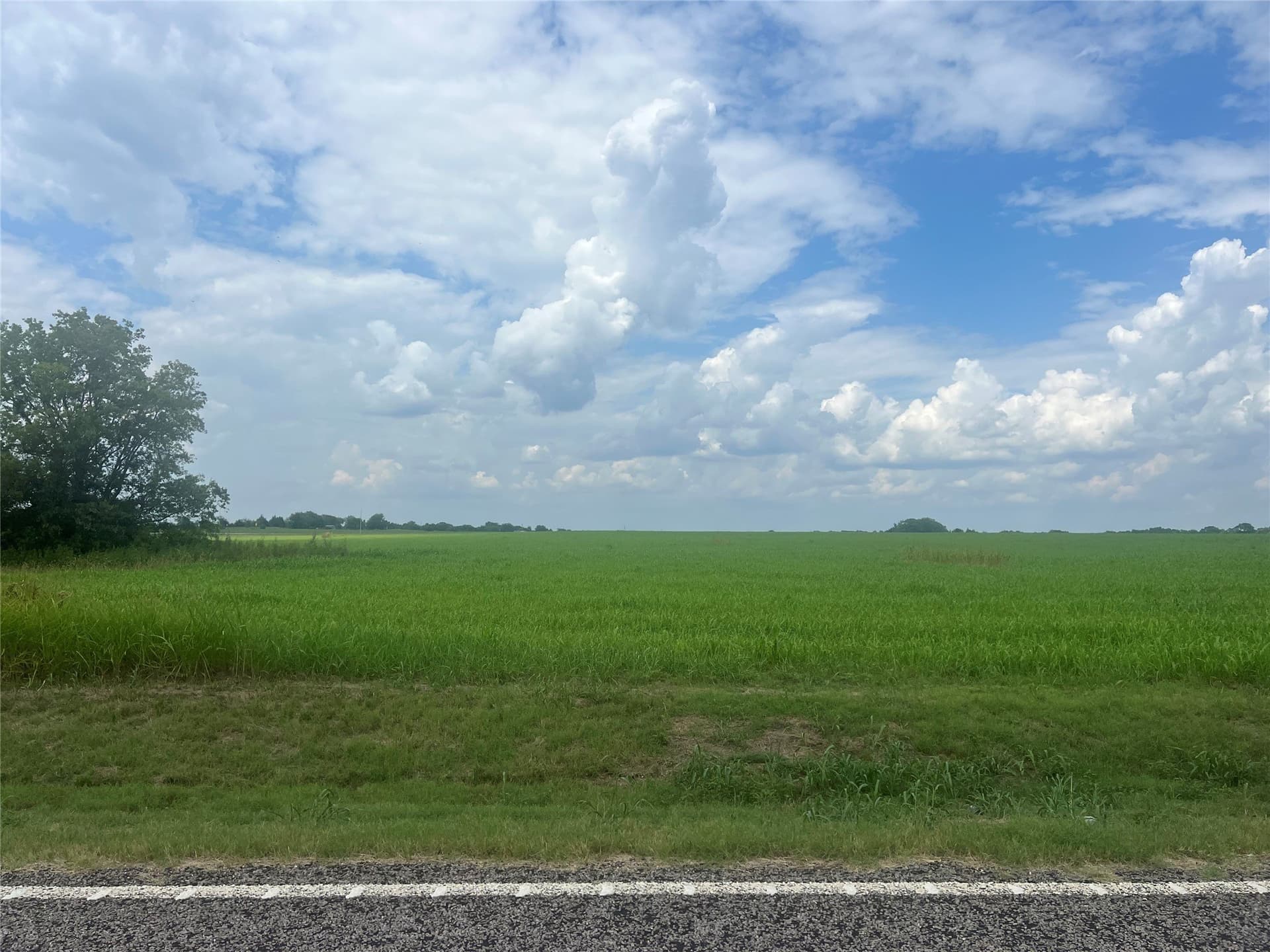 20 acres in Fannin County - photo 6