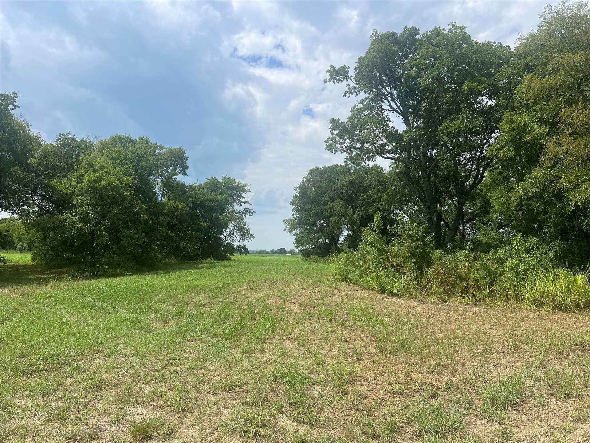20 acres in Fannin County - photo 11