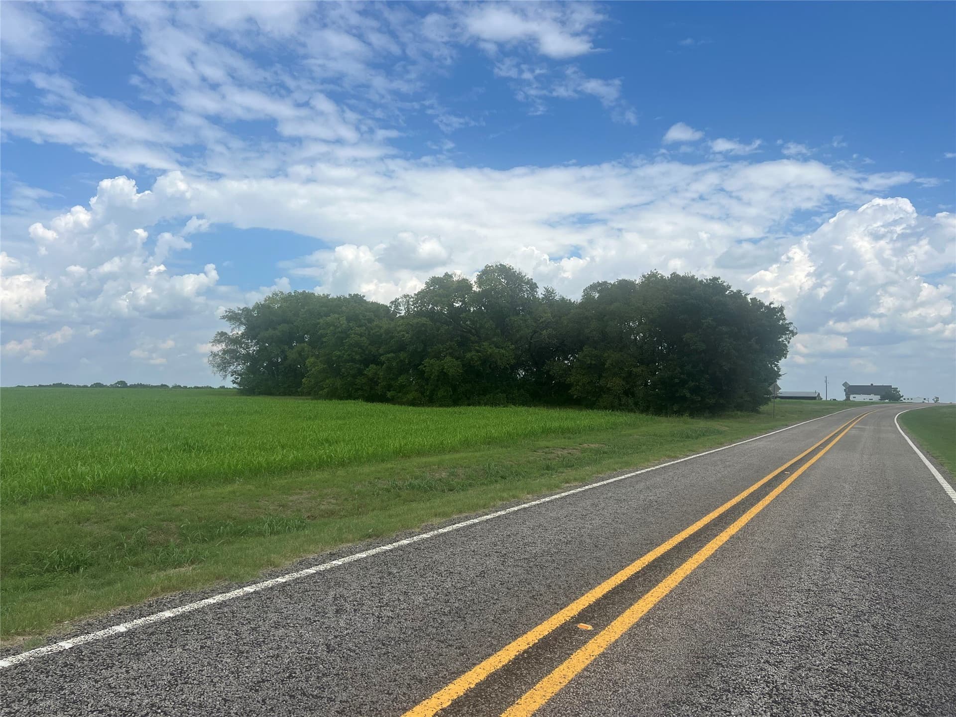 20 acres in Fannin County - photo 8