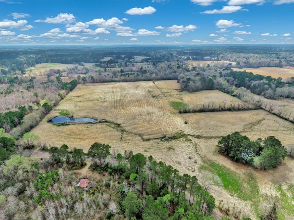 41.3 acres in Texas County - photo 4
