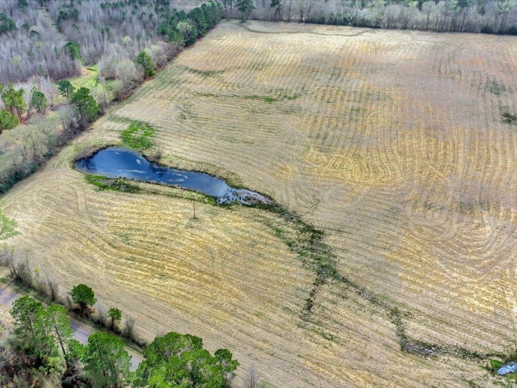 41.3 acres in Texas County - photo 6